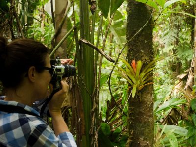 Photo: Amazon Emotions/Reproduction